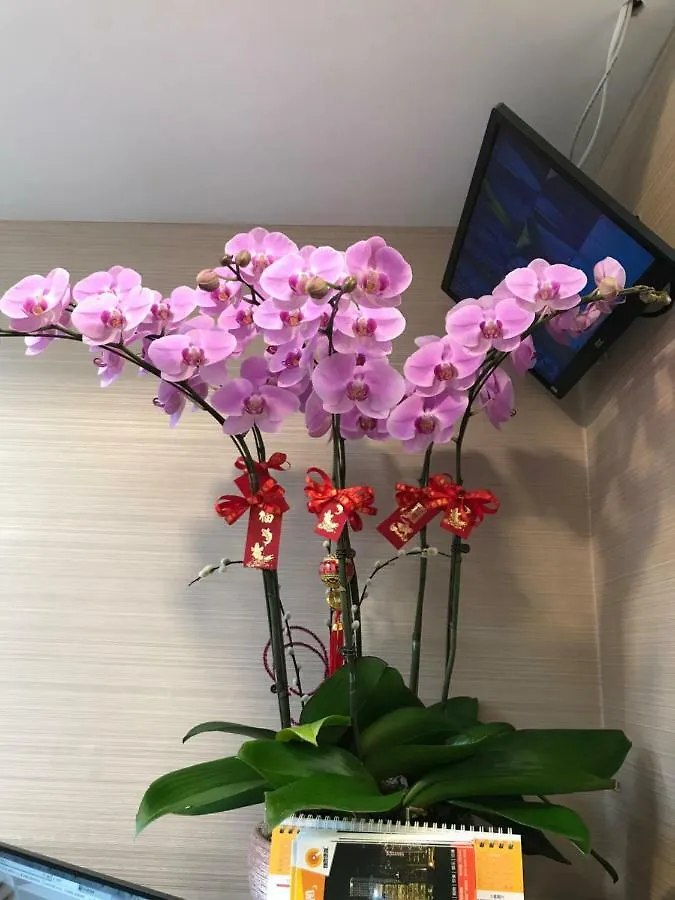 Vve Vve Hotel Hong Kong 0*,  China
